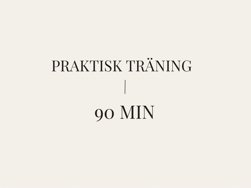 Praktisk träning 90 minuter